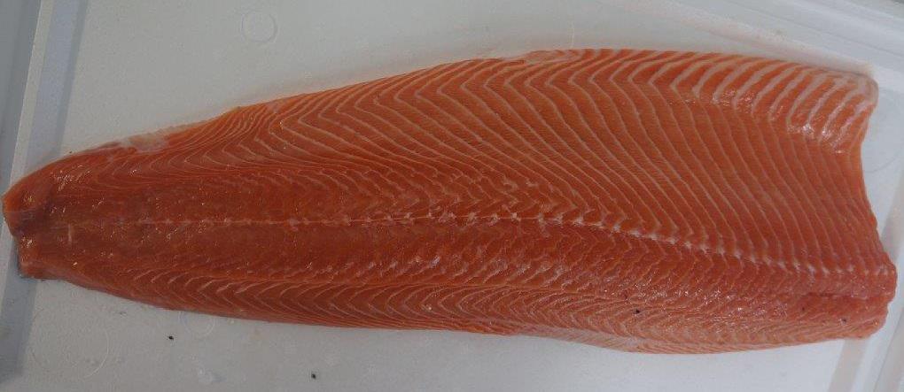 Łosoś filet bez skóry 4000/5000 trim E, Salmon fillet skinless 4000/5000 trim E, Salmo Salar,ryby